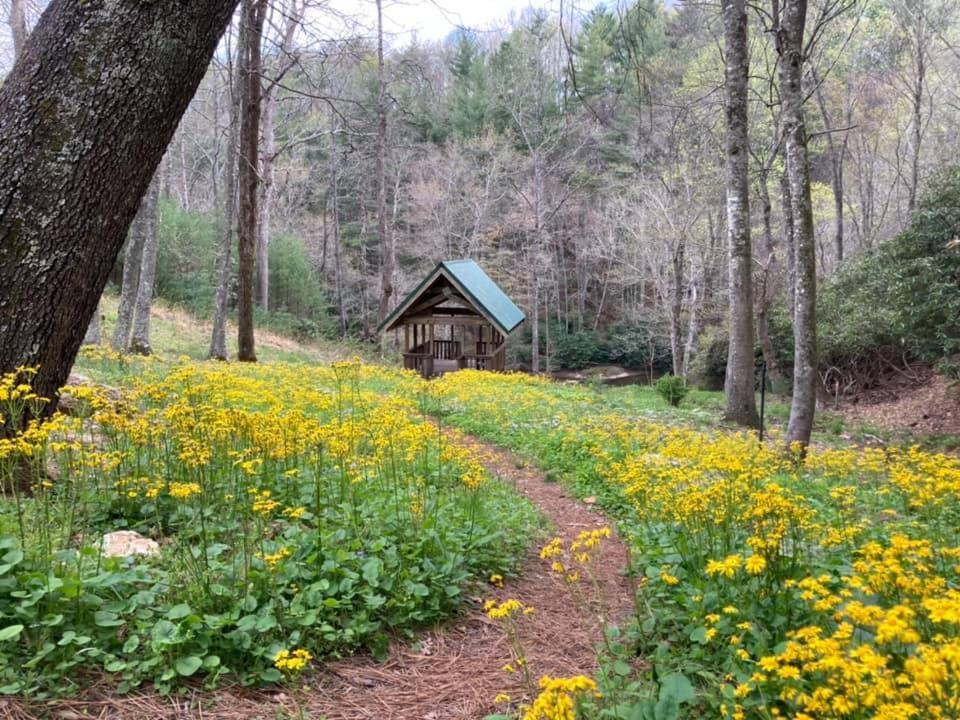 Little River Cabin Sparta Экстерьер фото
