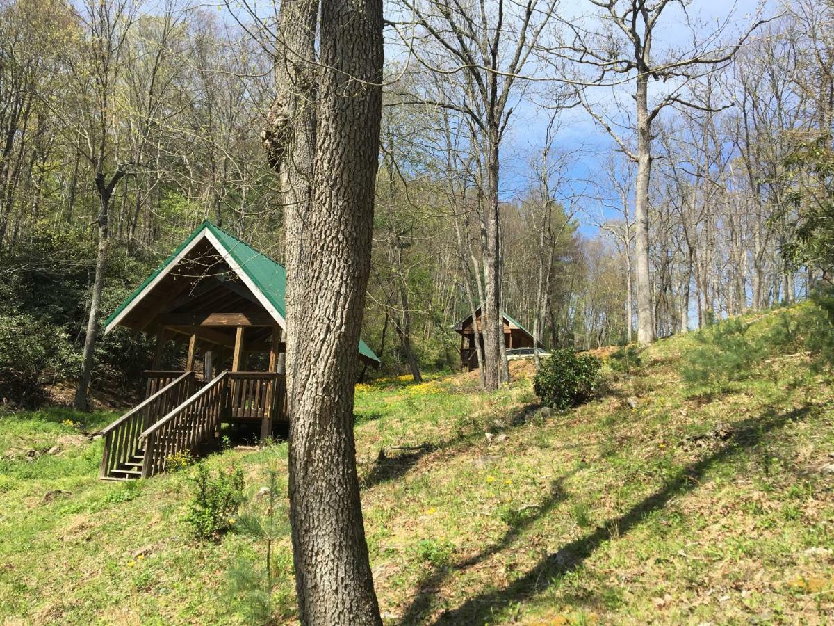 Little River Cabin Sparta Экстерьер фото